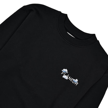 Aéronautique Sweater